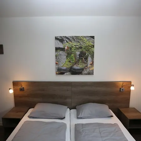 Апартаменты Ferienwohnung Bergwiese Винтерберг